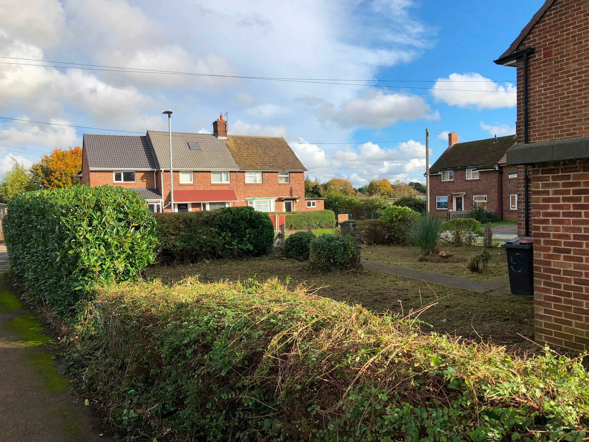 The same frontage cut back to ground level with the path, shrubs and bin store usable again