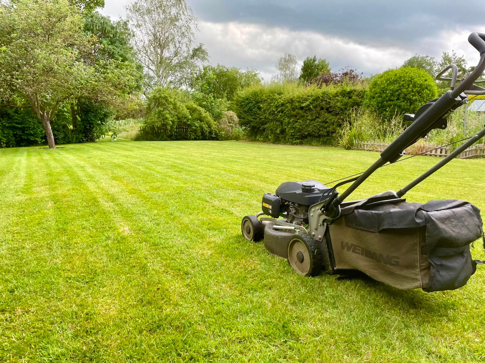 A large lawn freshly cut into straight stripes, with the mower parked in the foreground and a trimmed boundary hedge behind
